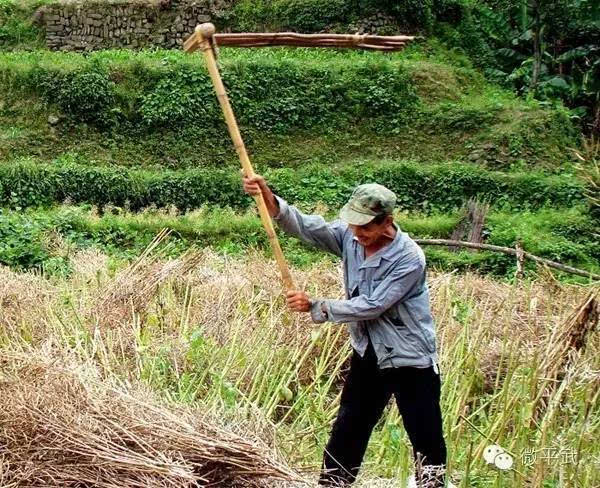 即将在平武农村消失的农具!你认识几样?