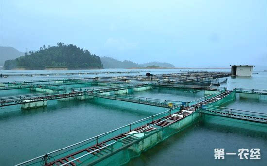 湖南:统筹生产生态促进渔业转型