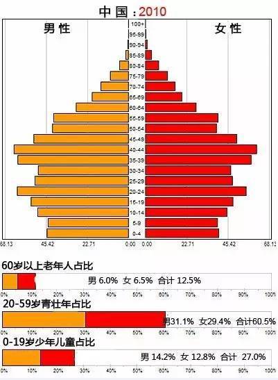 我国各年龄段人口结构图_心脏结构图