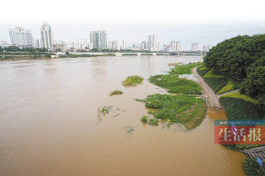 其它 正文  受连日降雨影响,8月18日,邕江水位上涨,江边的一些设施图片