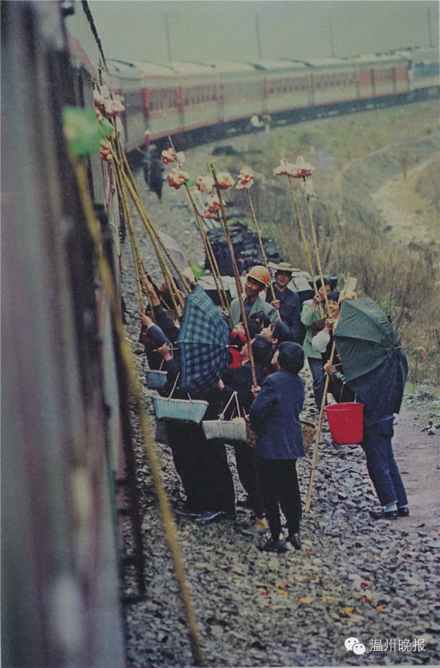 平阳和苍南等地老照片 (1980年—2000年)