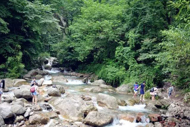 古镇上放松闲逛,喝茶耍水,戳麻将,别忘了整当地特色小吃哦~  九龙沟