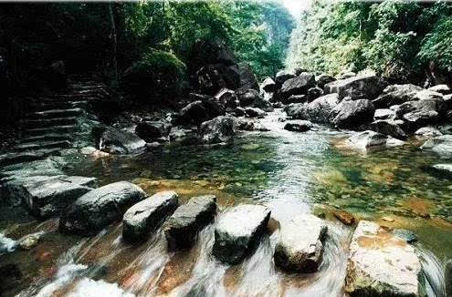 花岩国家森林公园 乐清市 杭州市民凭身份证可享受中雁荡山玉甑景区