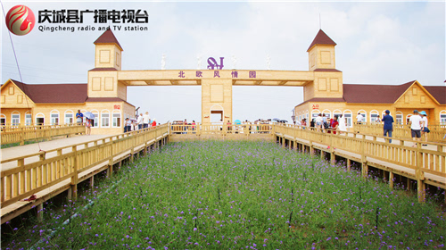 庆城县打造的北欧风情熏衣草庄园正式开园迎客