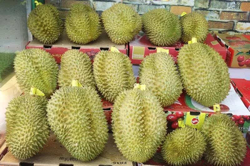 金华水果