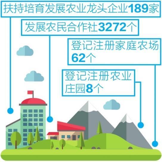 文山州实施"三农"发展规划 升级改造电网4140公里