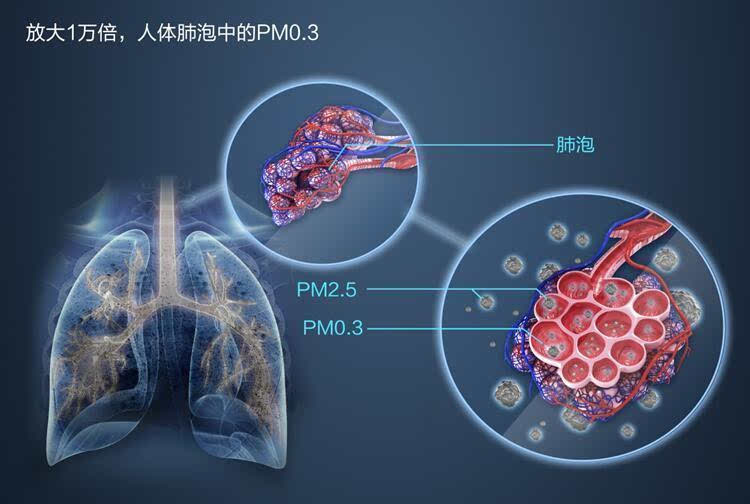 大气颗粒物表征是什么 关于大气颗粒物表征的详细介绍