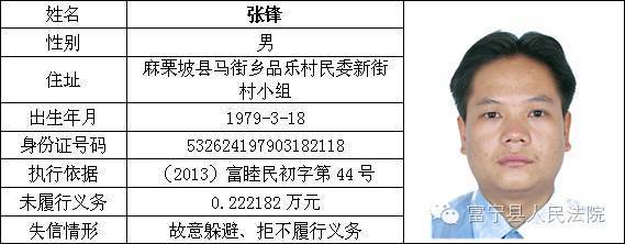 富宁人民法院发布2016年首批老赖名单曝光来看你身边藏着的老赖