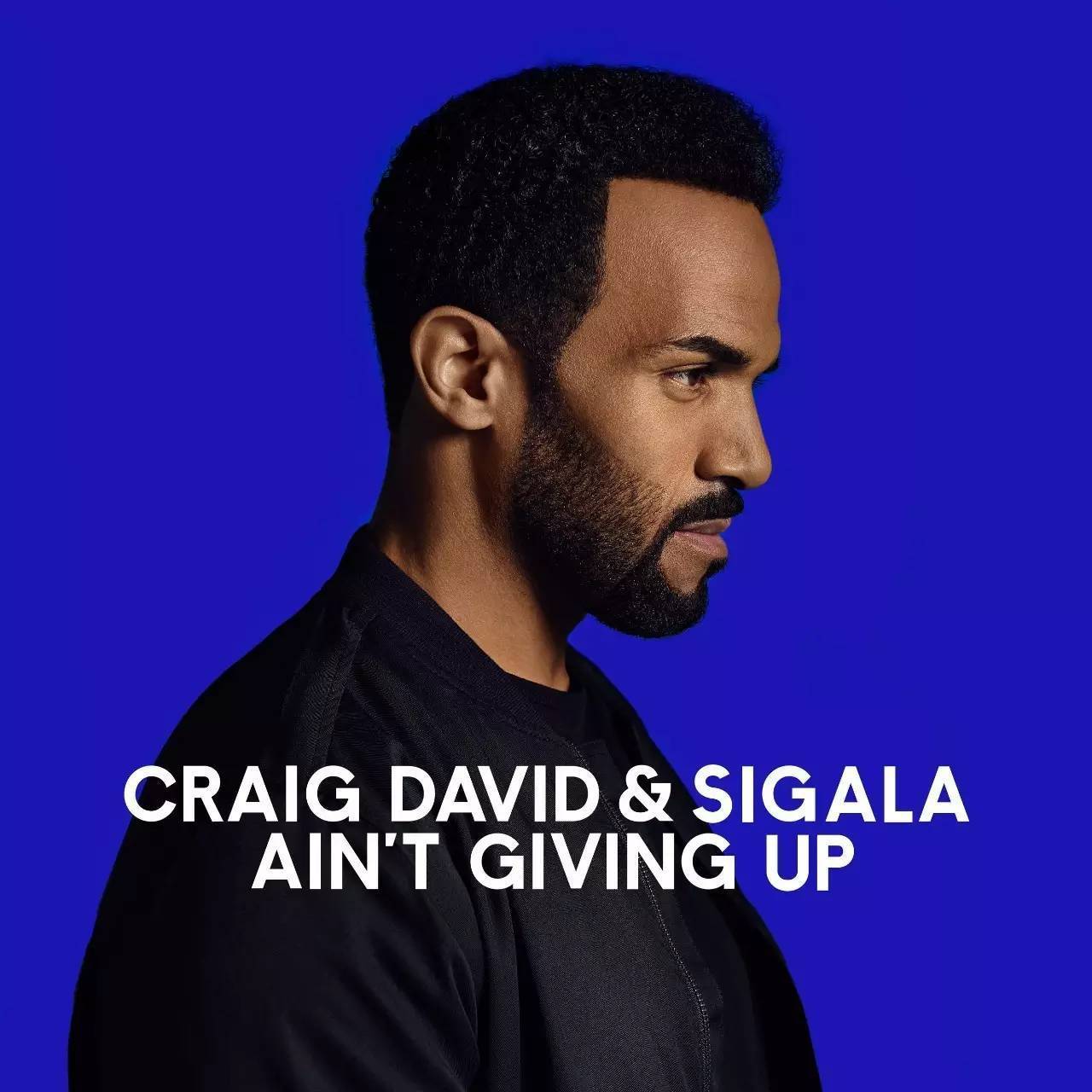 craig david & sigala ain"t giving up