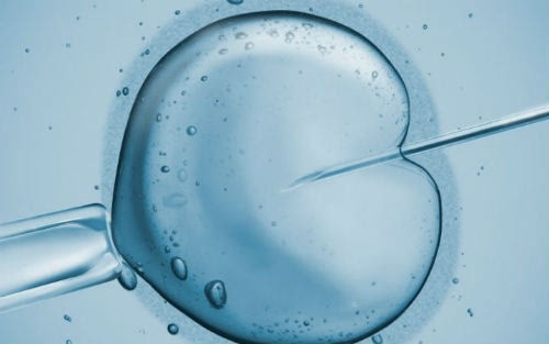 Mini-IVF逆袭传统IVF,或是试管婴儿的下