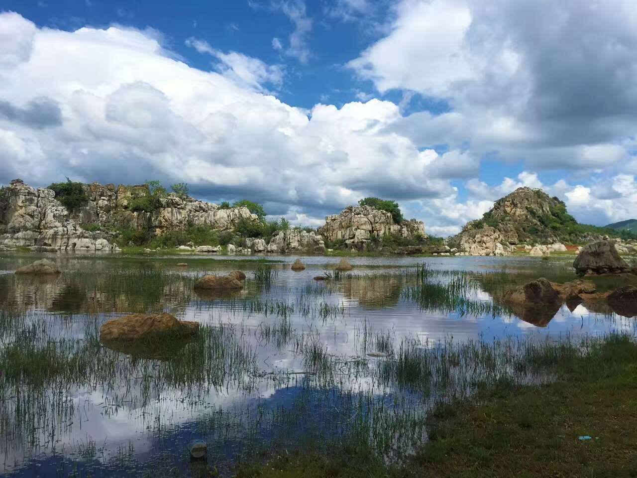 海峰湿地位于我市的沾益县,地处偏僻,这里有着肥美的水草,成群的候鸟.