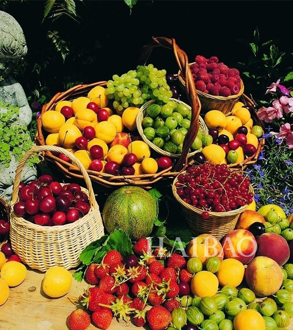 水果铺子里的水果通常利润是多少?是不是进价