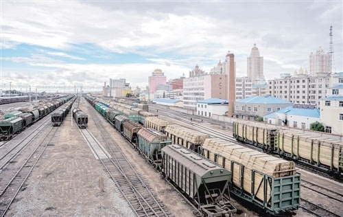 在满洲里火车站,停满了装载着俄罗斯进口木材的列车(8月20日摄).