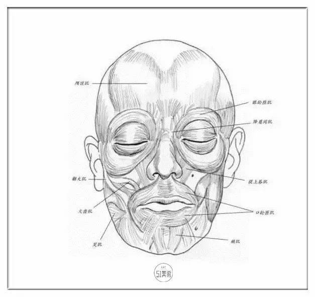 头像比例 表情刻画,这素描很到位!