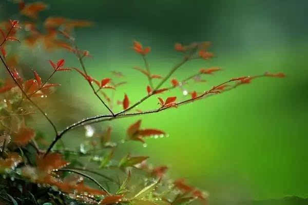 一场秋雨,一场凉