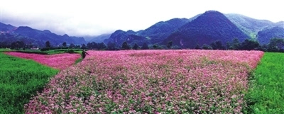 洞天福地 花海毕节 毕节文化旅游景区景点集锦