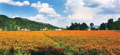 洞天福地 花海毕节 毕节文化旅游景区景点集锦