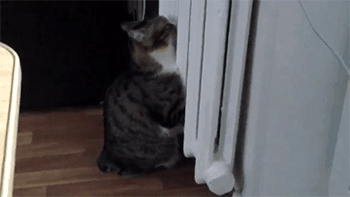 南方人在北方的血泪史,去公共澡堂我是拒绝的!