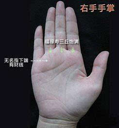 其它 正文  "川"字形的手相,这种手相亦指手掌中的三条主线互不相交