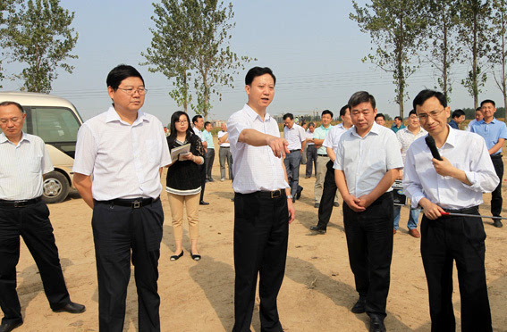 淮北市委书记黄晓武等市领导集中观摩重点项目建设