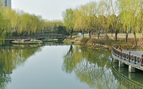 还是即将和常州市民见面的皇粮浜湿地公园,随着常州生态绿城建设的不