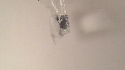 环境光绝对充足的情况下,是有可能捕捉到水滴落下以及滴在水面泛起