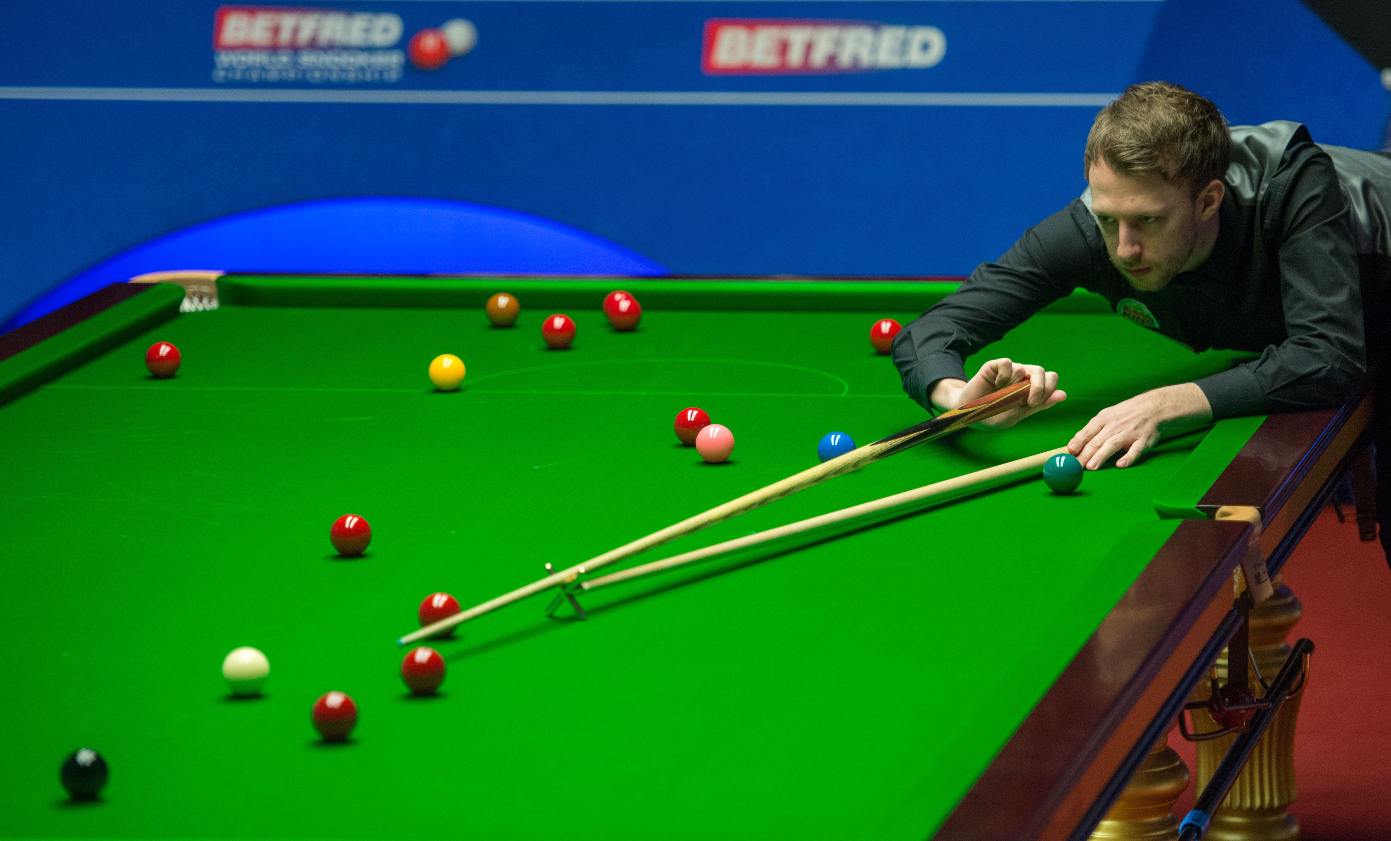 梁文博_梁文博收入