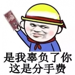 中国和欧盟经济总量占几分之几_七巧板占几分之几画图
