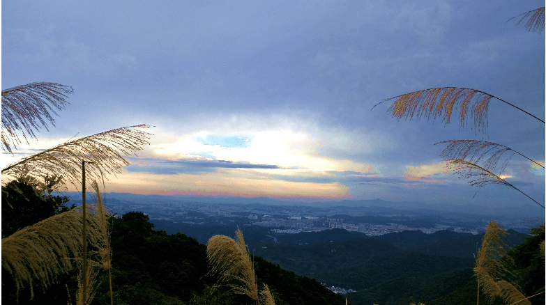 这么美的风景就在身边!梧桐山景简直美哭了