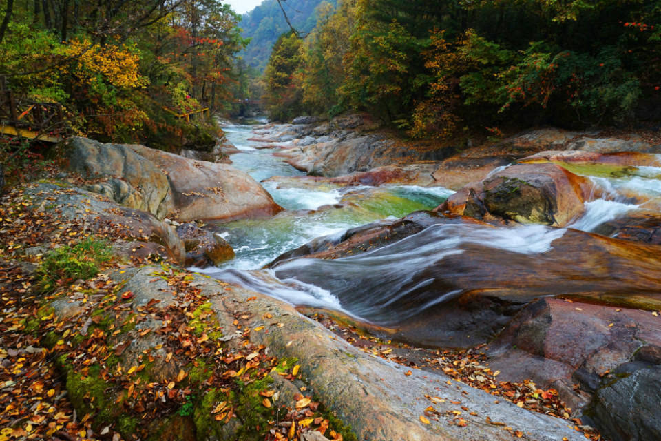 一年最美的季节 藏在秦岭深处的八大美景