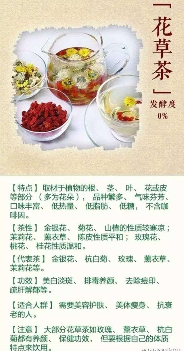 你真的会喝茶吗饮茶时间表禁忌攻略抓紧收藏