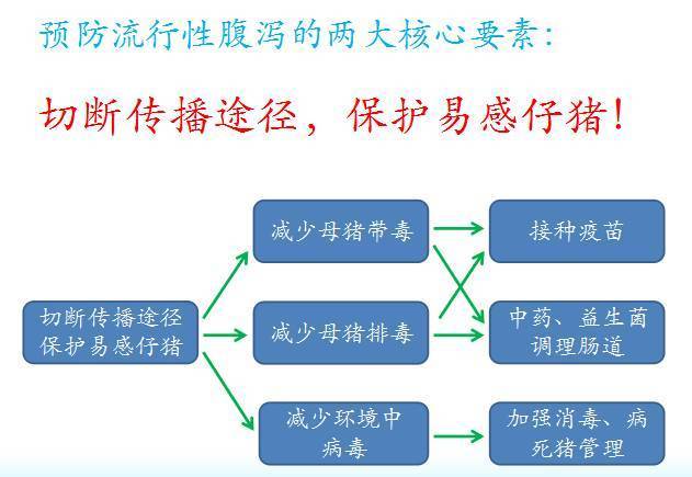 猪病毒性腹泻的病因:是由流行性腹泻病毒,传染性胃肠炎病毒和轮状病毒