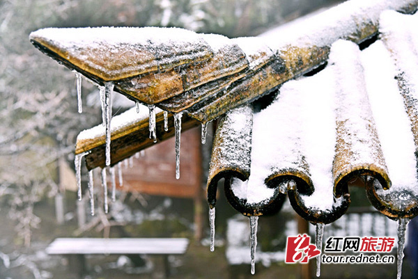 房檐上不仅铺上了一层厚厚的雪花"棉被",还"长"出了一根根晶莹剔透的