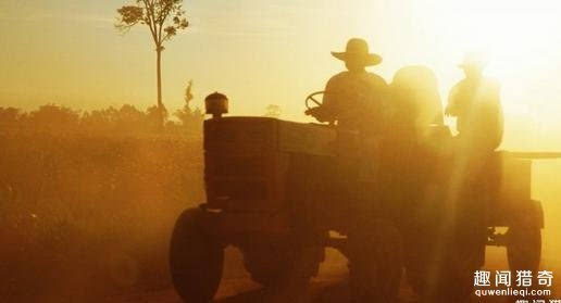 新西兰农场_澳大利亚新西兰_新西兰农场收入(3)