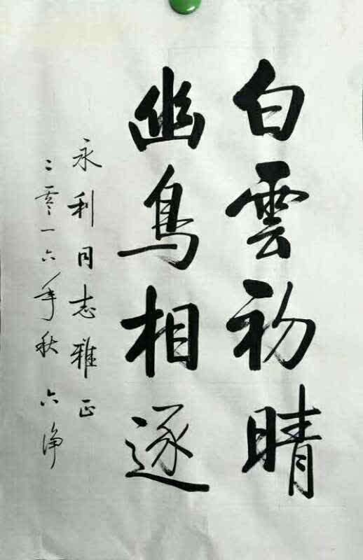 六净启体书法艺术作品欣赏