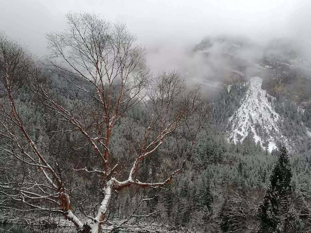 四川这些景区提前下雪了,雪景实拍,直接刷爆朋友圈!