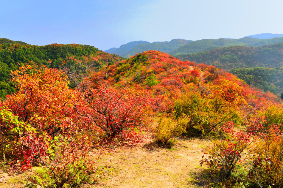 香山位于耀县城西北的庙湾镇,雄居梁山和乔山山脉之间,东,西,中三峰