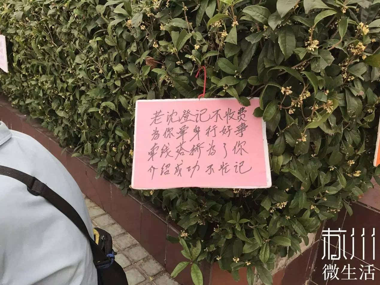 周日下午三点的桂花公园,我们居然看到了这一幕