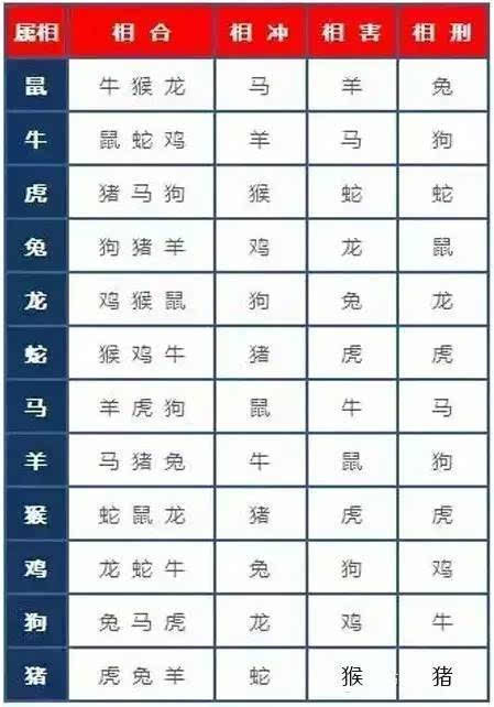 12生肖中什么人最冲你哪些与你最合