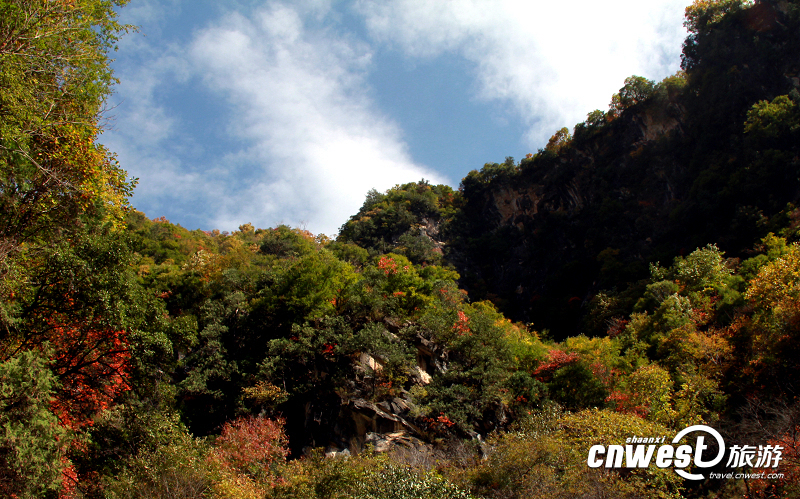 西安黑河国家森林公园秋意浓 红叶满山烂漫如画