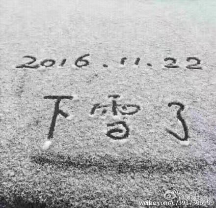 银装素裹!合肥迎来2016下半年第一场雪