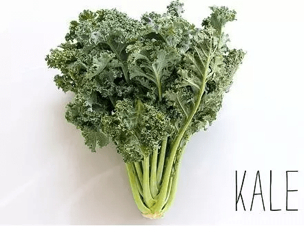 这么魔性的一棵菜其实就是kale