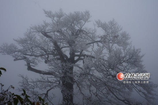 株洲淞区人口_株洲渌口区第一中学(2)