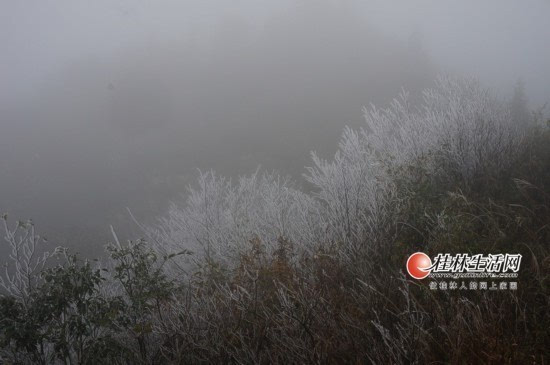 株洲淞区人口_株洲渌口区第一中学(2)