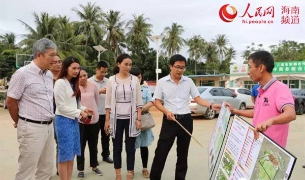 三亚市委常委,农工委主任陈小亚等调研海棠区美丽乡村建设.