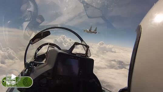 越南苏30正在飞行 座舱中突然钻出一只大黄蜂