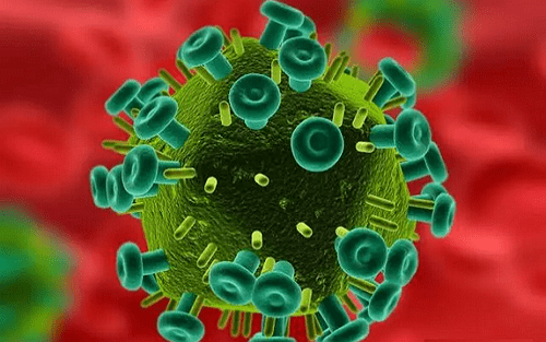 产前预测先天性巨细胞病毒感染的新方法