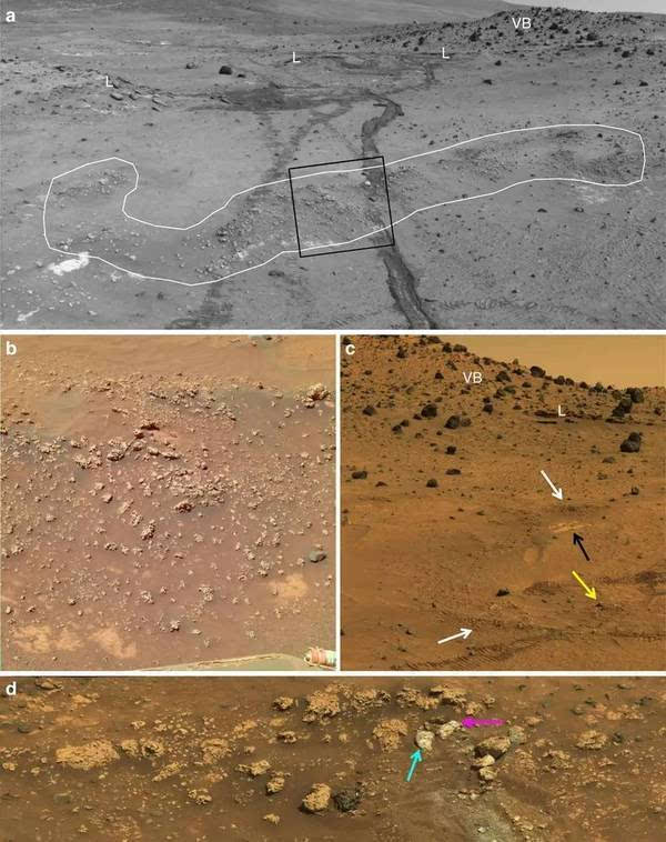 勇气号立功了 可能找到了火星生物的遗迹