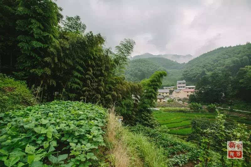 戴家山↑云夕图书馆外景↑云夕图书馆内景河南孟州·莫沟村位于太行