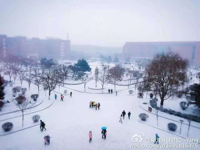 沈阳前进街道人口_沈阳街道图片